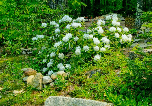 New Hampshire - Spring